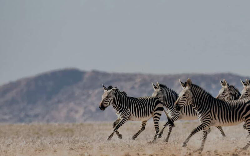 botswana