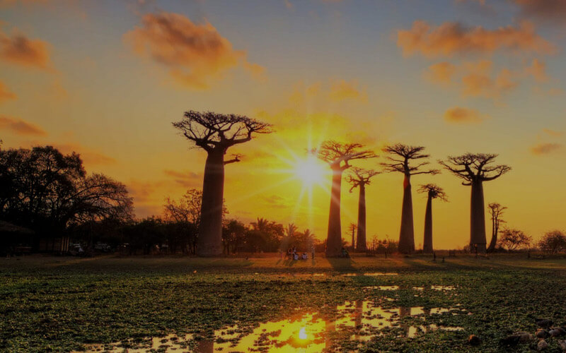 madagascar